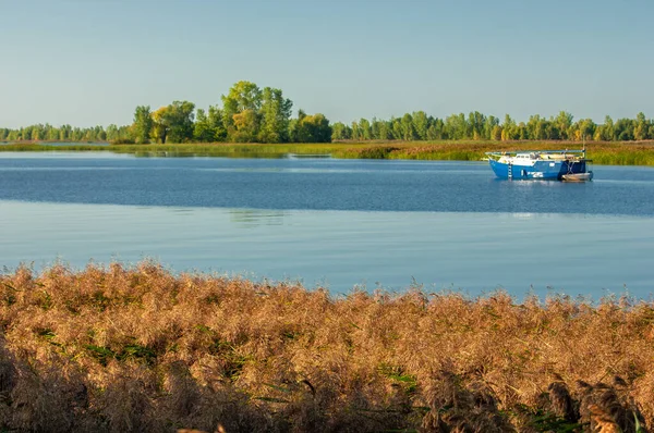 Summer Landscape Large Powerful River European Part World Bulgar Located — Stock Photo, Image