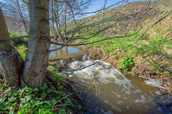 Fényképek Egy Táj Patak Tavasz Gully Egy Megkönnyebbülés Által Létrehozott — Stock Fotó