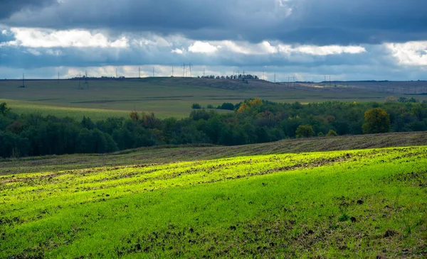 Podzimní Fotografie Krajiny Plochá Flóra Evropy Louky Strže Houštiny Otevřené — Stock fotografie