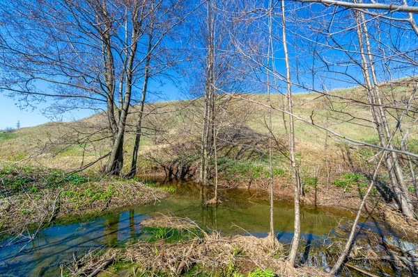 ストリーム 春の写真 ガリ救済水を実行して作成され 急速に土壌に崩壊し 通常は丘の中腹にあります 谷は大きな溝や小さな谷に似ています — ストック写真