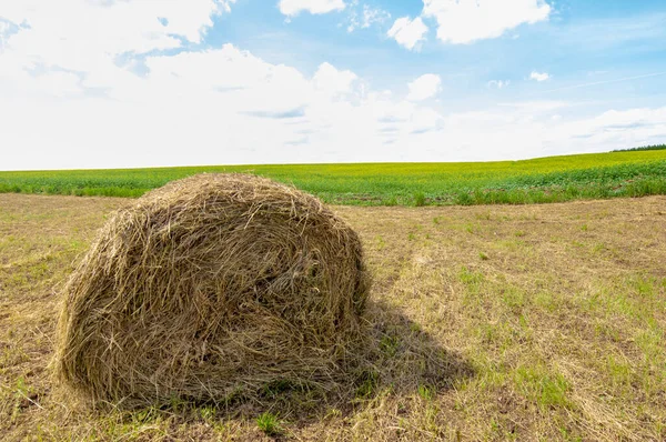 Sommerlandschaft Heuernte Heufelder Sind Riesige Runde Heuballen Dies Ist Eine — Stockfoto