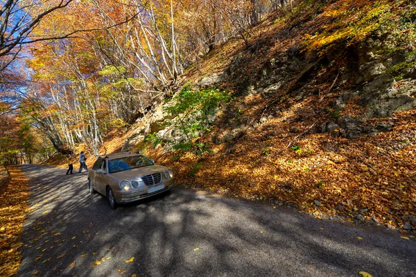 Autumn photos of the Crimean peninsula, Old highway, The charm of the mood of the old road,