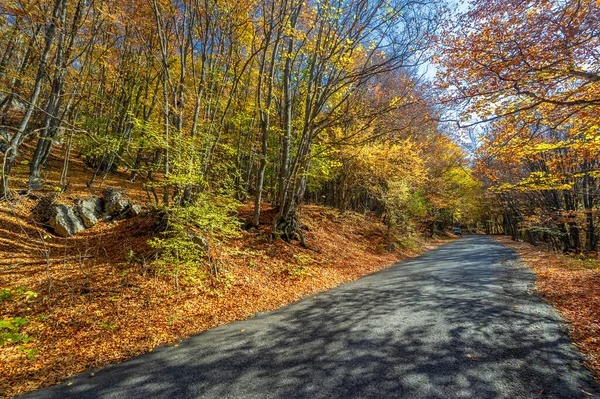 Otoño Fotos Península Crimea Vieja Carretera Encanto Del Estado Ánimo —  Fotos de Stock