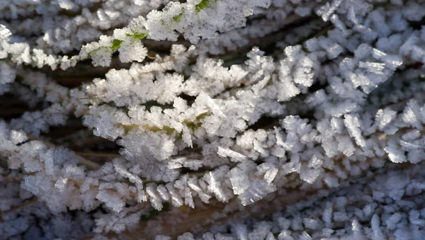 Textur Bakgrund Mönster Frost Grässtråna Avsättning Små Vita Iskristaller Som — Stockfoto