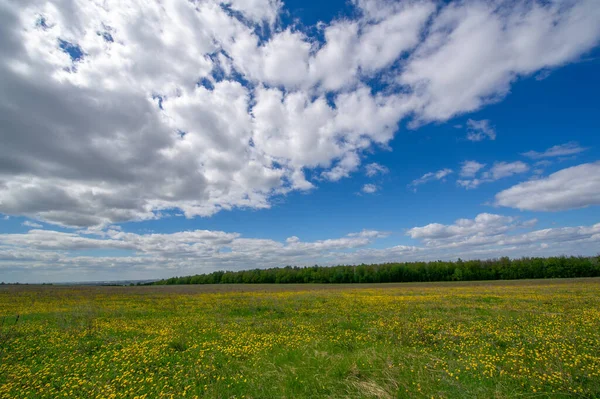 Vårfotografering Fält Ängar Våren Skönhet Raviner Fantastisk Blå Himmel Vita — Stockfoto