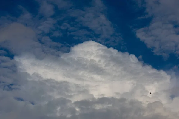 在天空的云彩中 可以看到大量的水蒸气在大气中漂浮 通常在地面上方很高的地方 — 图库照片