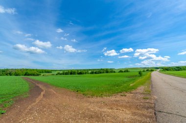 Bahar fotoğrafçılığı, eski asfalt yolu yaşlılıktan çatlamış. Güneşten, rüzgârdan ve soğuktan kahverengi bir tonu var. Ekinler yol kenarında yetişir. Peyzaj cazibesi seyahat gerektirir