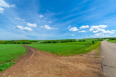 Bahar fotoğrafçılığı, eski asfalt yolu yaşlılıktan çatlamış. Güneşten, rüzgârdan ve soğuktan kahverengi bir tonu var. Ekinler yol kenarında yetişir. Peyzaj cazibesi seyahat gerektirir