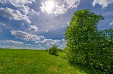 Bahar fotoğrafçılığı, eriyen kar ve yaz yağmurlarından oluşan eski bir vadi. Ceviz, meşe, huş ağacı, dağ külleri ve ıhlamur ormanları kenarlarda yetişir. Beyaz bulutlu parlak, yumuşak gökyüzü