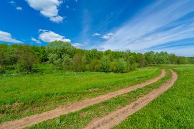 Bahar fotoğrafçılığı, eski toprak yol. Güneşten, rüzgârdan ve soğuktan kahverengi bir tonu var. Ekinler yol kenarında yetişir. Peyzaj cazibesi seyahat gerektirir