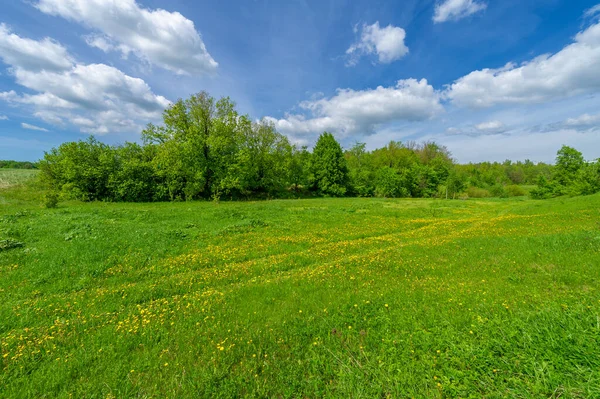 Wiosenna Fotografia Stary Wąwóz Utworzony Przez Topniejący Śnieg Letnie Deszcze — Zdjęcie stockowe