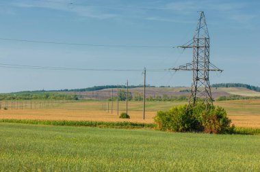 Yaz manzarası fotoğrafçılığı, buğday tarlaları, karışık orman, meşe ağaçları, huş ağacı, kavak ağacı, akçaağaç, Orta Avrupa