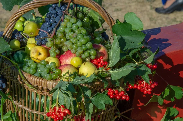 Fair Farm Gifts All Splendor Watermelons Melons Pumpkins Grapes Apples — Stock Photo, Image