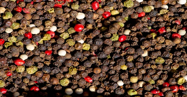 Pimiento Negro Las Bayas Secas Del Pimiento Negro Que Cosechan — Foto de Stock