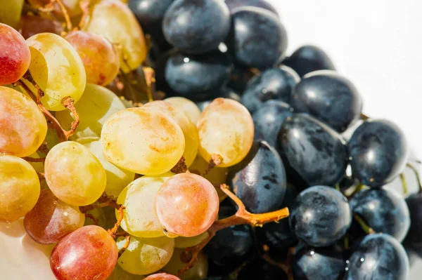 Grapes Can Eaten Fresh Table Grapes Can Used Making Wine — Stock Photo, Image