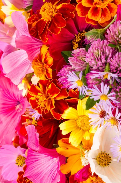 Composition Bright Various Colors Bright Colorful Autumn Bouquet Blossoming Yellow — Stock Photo, Image