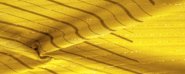 Tasarım arka plan dokusu, sarı kehribar rengi kumaş. Taze ve rahat bir stil için mükemmel..