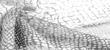 Doku. Geçmişi. Şablon. piton ipeği kumaşı, beyaz ve siyah desen, Afrika teması, fark, samur, ebon, müstehcen