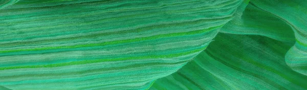 Tela Verde Material Textil Fondo Arte Papel Pintado Rayas Plantilla — Foto de Stock