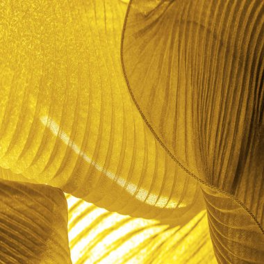 doku, tekstil, kumaş, kumaş, ağ, doku, sarı altın kıvrım kumaş, dalgalanma dalgası