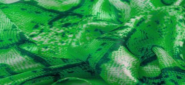 Arkaplan, doku, desen, yeşil kareli beyaz kumaş, çizgiler.