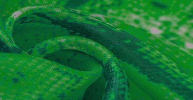 Arkaplan, doku, desen, yeşil kareli beyaz kumaş, çizgiler.