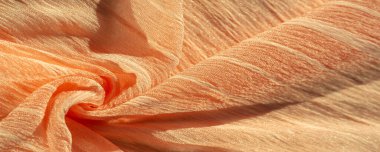 doku, arka plan, desen, koleksiyon, buruşuk ipek kumaş şampanyası (soluk geyik tüyü). Üç Boyutlu