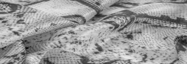 Arkaplan, doku, desen, alkali beyaz kumaş, gri kare desenli, çizgi