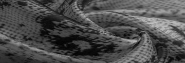 Arkaplan, doku, desen, alkali beyaz kumaş, gri kare desenli, çizgi