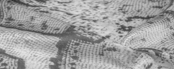 Arkaplan Doku Desen Alkali Beyaz Kumaş Gri Kare Desenli Çizgi — Stok fotoğraf