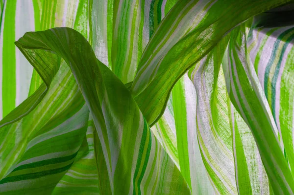 Textura Fundo Padrão Listras Verdes Tecido Algodão Poncho Pontro Mapudungun — Fotografia de Stock