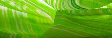 Doku, arkaplan, desen, yeşil çizgiler, pamuk kumaş, Mapudungun panço, battaniye, yün kumaş - bunlar vücudu sıcak tutmak için tasarlanmıştır..