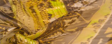 Doku, desen, arkaplan, koleksiyon, ipek kumaş, kadın narin atkı, yeşil-kahverengi renk, soyut baskı, zarif tasarım.