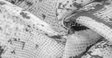 Arkaplan, doku, desen, alkali beyaz kumaş, gri kare desenli, çizgi