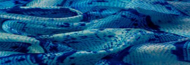 Arkaplan, doku, desen, mavi kareli ipek beyaz kumaş.