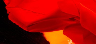 Geçmişi, dokusu, deseni, beyaz ipek kumaşı, beyaz beyaz zambak beyazı.