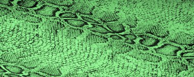 Doku, arka plan, desen, yeşil yılan derisi desenli kumaş, Afrika kumaşı, özel tasarım fotoğraf - Afrika ülkesinde safari