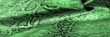 Doku, arka plan, desen, yeşil yılan derisi desenli kumaş, Afrika kumaşı, özel tasarım fotoğraf - Afrika ülkesinde safari