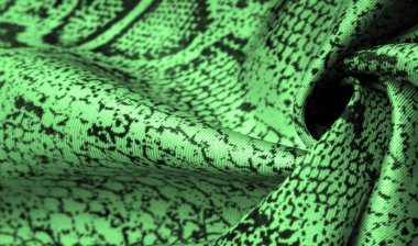 Doku, arka plan, desen, yeşil yılan derisi desenli kumaş, Afrika kumaşı, özel tasarım fotoğraf - Afrika ülkesinde safari