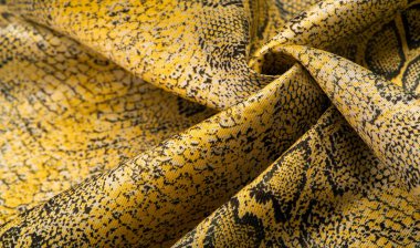 Doku, arkaplan, desen, kumaş, sarı yılan derisi deseni, Afrika kumaşı, tasarımcı fotoğrafı - Afrika ülkesinde safari