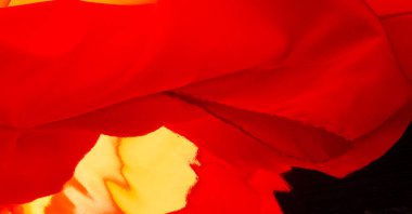 Geçmişi, dokusu, deseni, kırmızı ipek kumaşı, kızaran kırmızı çiçekli gülü.