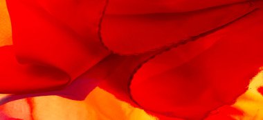 Geçmişi, dokusu, deseni, kırmızı ipek kumaşı, kızaran kırmızı çiçekli gülü.