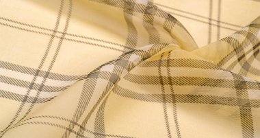 İpek kumaş şampanya (soluk fawn) Tartan kareli duvar kağıdı desenleri. İskoç damalı elbise. Klasik kumaşların tekstil modeli. Kumaş tekstil deseni çizimi.
