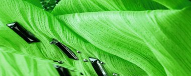 Arkaplan tasarımı dokusu, ipek desen, yeşil kumaş ve dekoratif işlemeli taşlar.