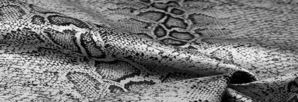 Textuur Achtergrond Patroon Stof Met Een Patroon Van Grijze Slangenhuid — Stockfoto