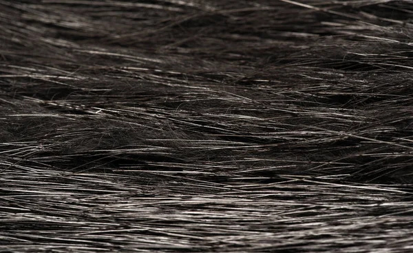 Konsystencja Tła Ozdoba Dekoracyjna Futro Dzikiego Ptactwa Wodnego Gałka Muszkatołowa — Zdjęcie stockowe