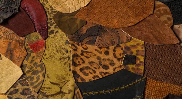 Textúra Háttérmintázatát Dekoratív Állati Bőr Élénk Színek Festett Panelt Művész — Stock Fotó