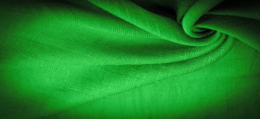 Duvar kağıdının dokusu, süs süsü, yeşil sentlik koyu zümrüt ipeği kumaşı, dekoratif elementler ekleyerek daha çekici hale getirebilirsiniz.