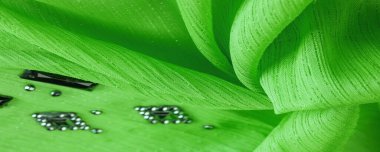 Arkaplan tasarımı dokusu, ipek desen, yeşil kumaş ve dekoratif işlemeli taşlar.