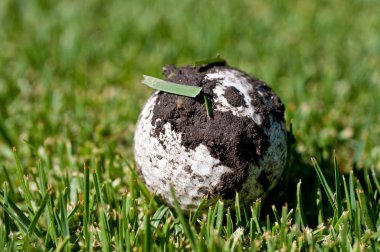 Bir çok kirli Golf topu